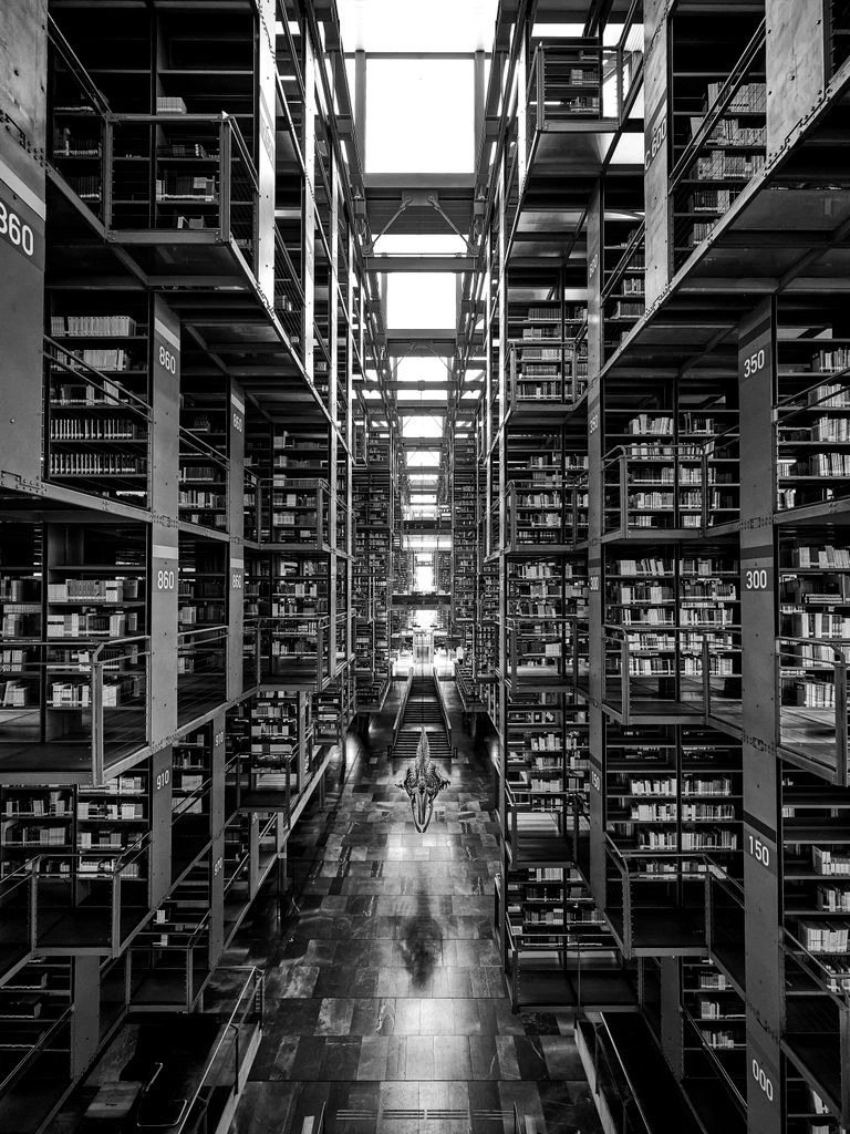A dark archive of leather-bound lore books lit by a single red lamp.